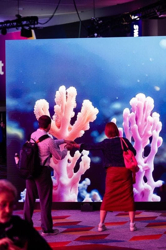 Visitors reaching toward coral imagery