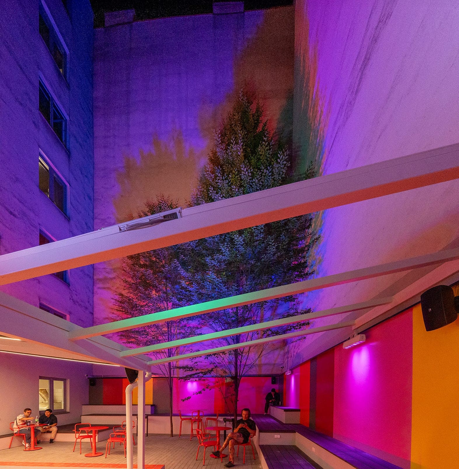 Tree shadow cast on the lit courtyard wall above the canopy